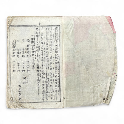 Edo Period Samurai Illustrated Book – Two Volumes Combined – Woodblock Printed Japanese Antique-B93