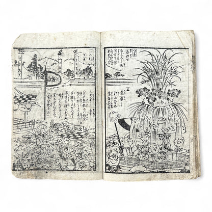 Edo Period Samurai Illustrated Book – Two Volumes Combined – Woodblock Printed Japanese Antique-B93