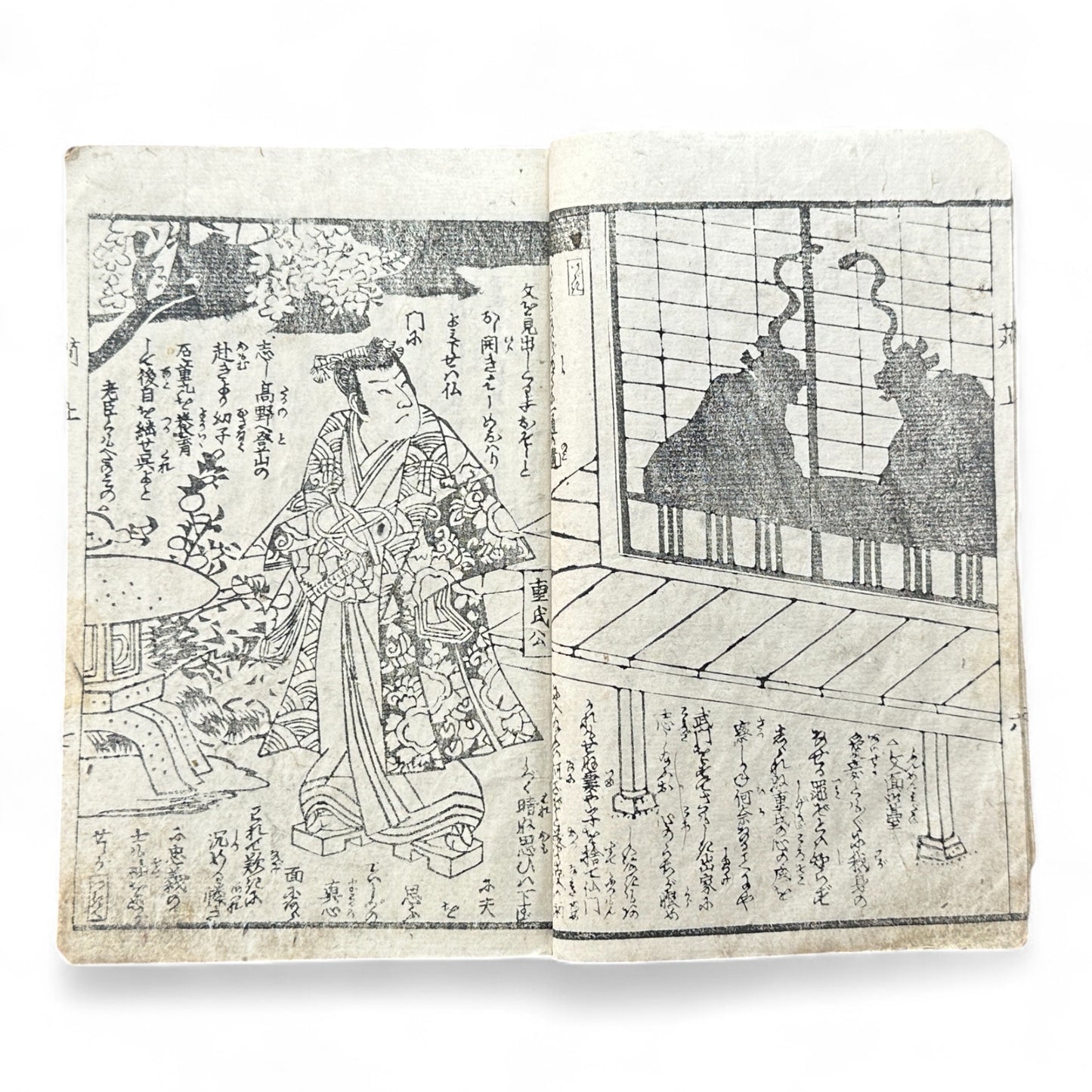 Edo Period Samurai & Landscape Illustrated Book – Two Volumes in One – Japanese Woodblock Printing-B94