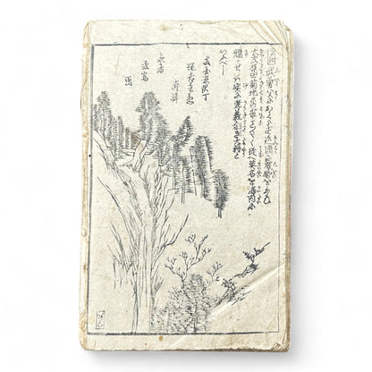 Edo Period Samurai & Landscape Illustrated Book – Two Volumes in One – Japanese Woodblock Printing-B94