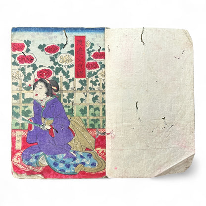 Hanare no Kiku Shirube no Kagami 離菊標鏡 Edo Woodblock Book (3 Volumes in One) by Utagawa Yoshitora 芳虎-B96