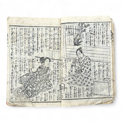 Hanare no Kiku Shirube no Kagami 離菊標鏡 Edo Woodblock Book (3 Volumes in One) by Utagawa Yoshitora 芳虎-B96