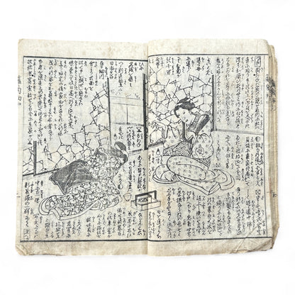 Hanare no Kiku Shirube no Kagami 離菊標鏡 Edo Woodblock Book (3 Volumes in One) by Utagawa Yoshitora 芳虎-B96