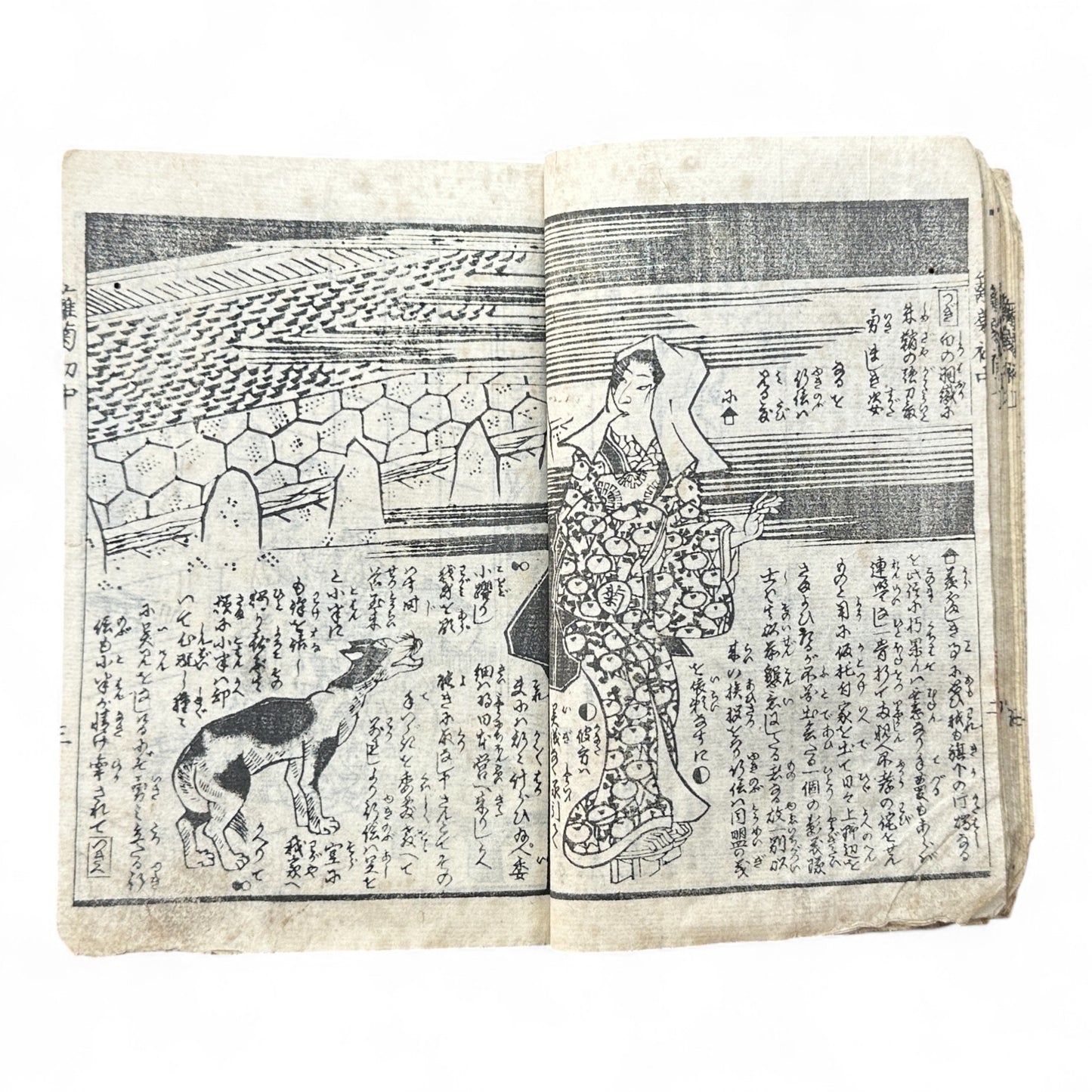 Hanare no Kiku Shirube no Kagami 離菊標鏡 Edo Woodblock Book (3 Volumes in One) by Utagawa Yoshitora 芳虎-B96