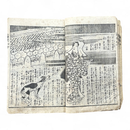 Hanare no Kiku Shirube no Kagami 離菊標鏡 Edo Woodblock Book (3 Volumes in One) by Utagawa Yoshitora 芳虎-B96
