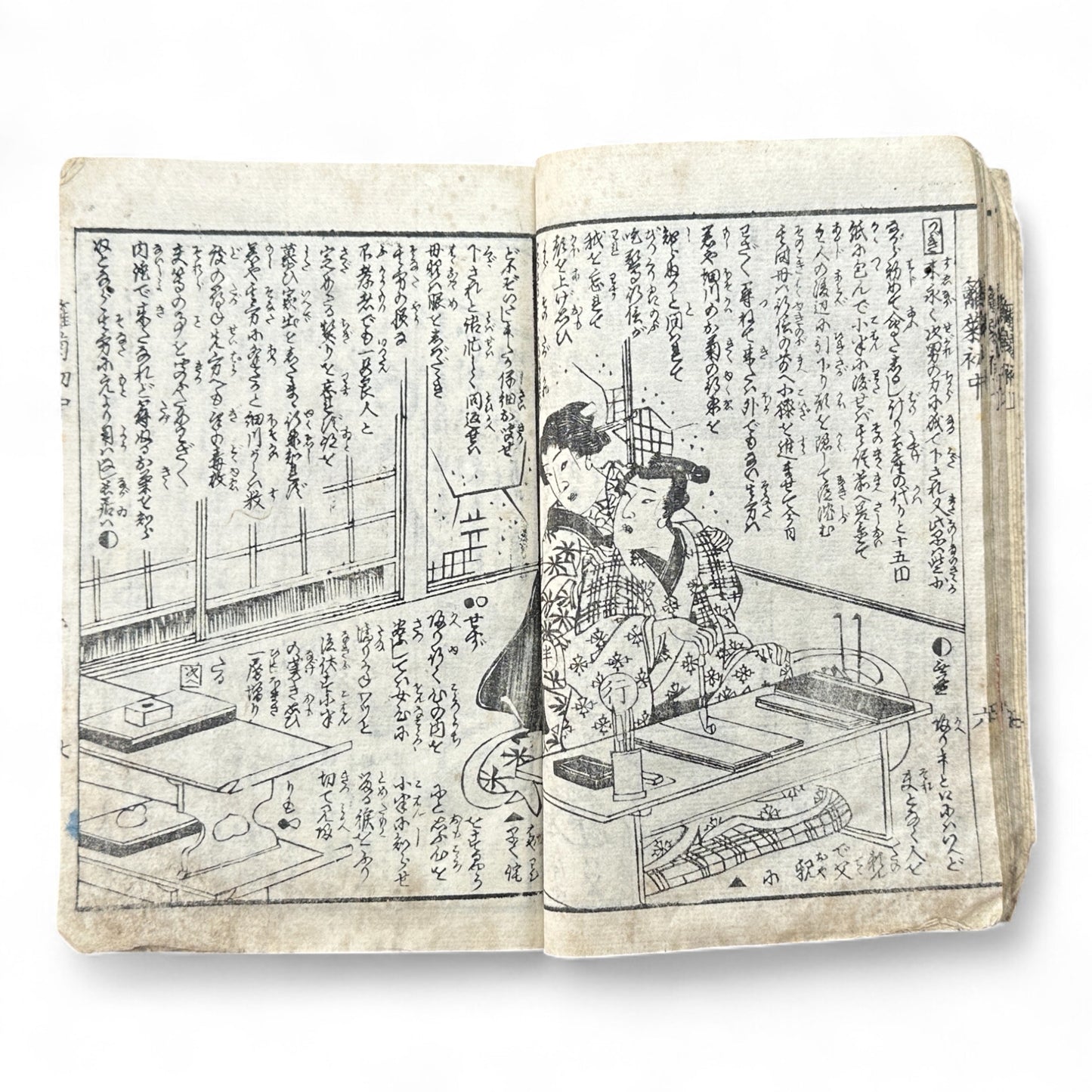 Hanare no Kiku Shirube no Kagami 離菊標鏡 Edo Woodblock Book (3 Volumes in One) by Utagawa Yoshitora 芳虎-B96