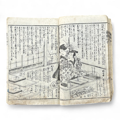 Hanare no Kiku Shirube no Kagami 離菊標鏡 Edo Woodblock Book (3 Volumes in One) by Utagawa Yoshitora 芳虎-B96