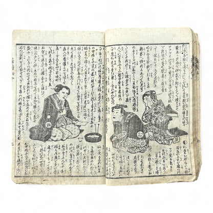 Hanare no Kiku Shirube no Kagami 離菊標鏡 Edo Woodblock Book (3 Volumes in One) by Utagawa Yoshitora 芳虎-B96