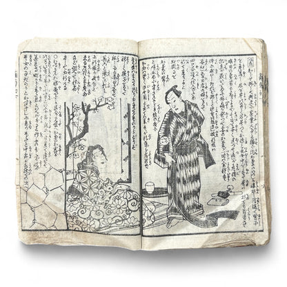 Hanare no Kiku Shirube no Kagami 離菊標鏡 Edo Woodblock Book (3 Volumes in One) by Utagawa Yoshitora 芳虎-B96