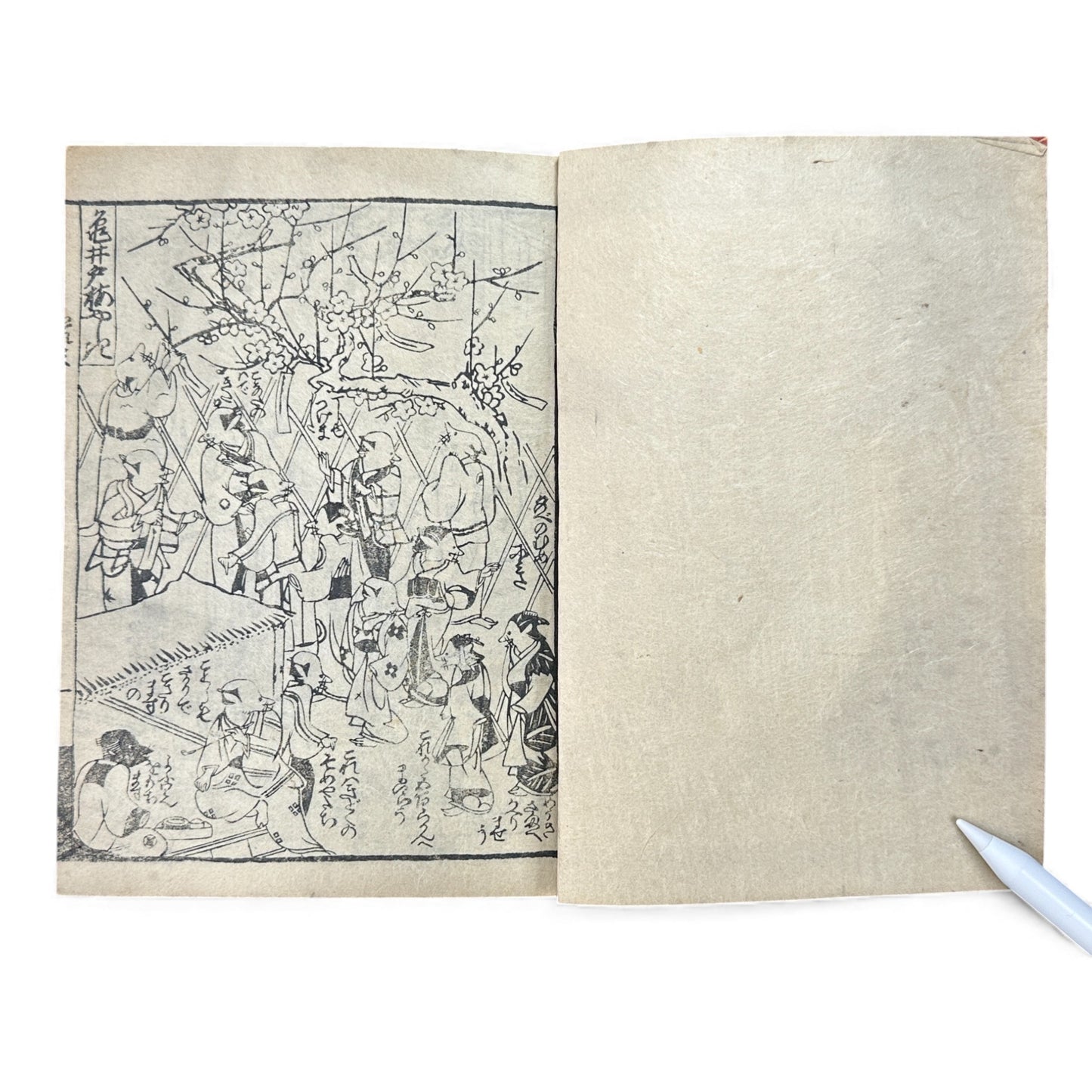 風流見物 — Fūryū Kenbutsu (1885) Illustrated Meiji-Era Humorous Fox Festival Book - B114