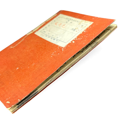 風流見物 — Fūryū Kenbutsu (1885) Illustrated Meiji-Era Humorous Fox Festival Book - B114