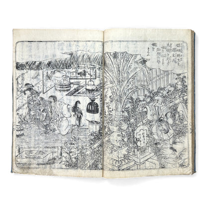 Ehon Sakura-hime Densōshi 絵本櫻姫譚草紙 — Edo Period Illustrated Storybook (Vol. 4) – Rare Japanese Woodblock Book - B119