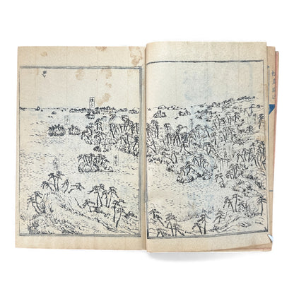 松島図誌 明治20年再版｜Edo–Meiji Japanese Illustrated Guidebook of Matsushima｜Rare Antique 日本古書 - B120