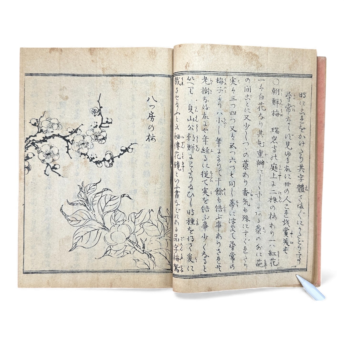 松島図誌 明治20年再版｜Edo–Meiji Japanese Illustrated Guidebook of Matsushima｜Rare Antique 日本古書 - B120