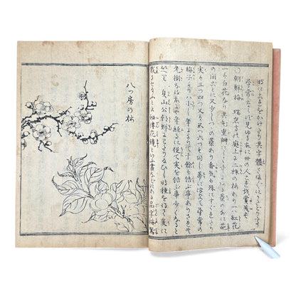 松島図誌 明治20年再版｜Edo–Meiji Japanese Illustrated Guidebook of Matsushima｜Rare Antique 日本古書 - B120