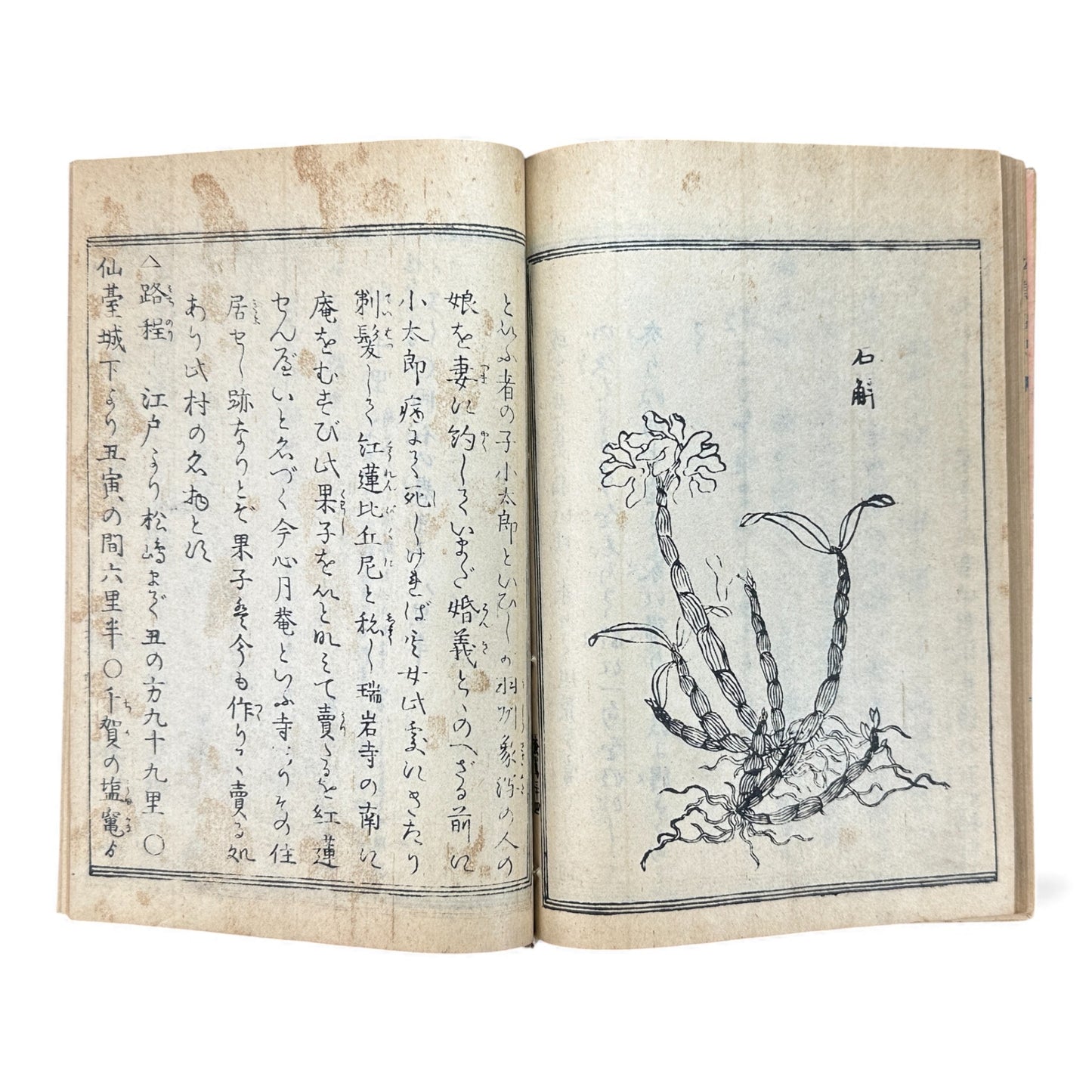 松島図誌 明治20年再版｜Edo–Meiji Japanese Illustrated Guidebook of Matsushima｜Rare Antique 日本古書 - B120