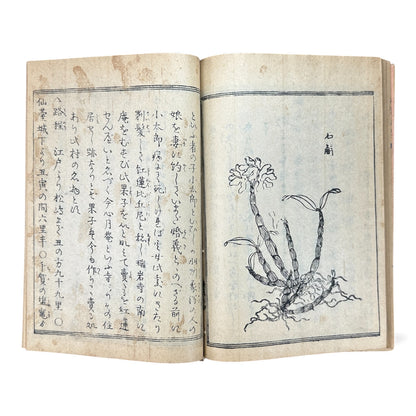 松島図誌 明治20年再版｜Edo–Meiji Japanese Illustrated Guidebook of Matsushima｜Rare Antique 日本古書 - B120