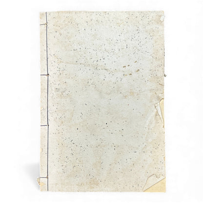 賽乞小鑑 Meiji 34 Reprint｜Japanese Edo-Style Illustrated Storybook 和本｜Rare Antique Book - B121