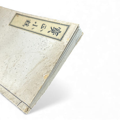 賽乞小鑑 Meiji 34 Reprint｜Japanese Edo-Style Illustrated Storybook 和本｜Rare Antique Book - B121