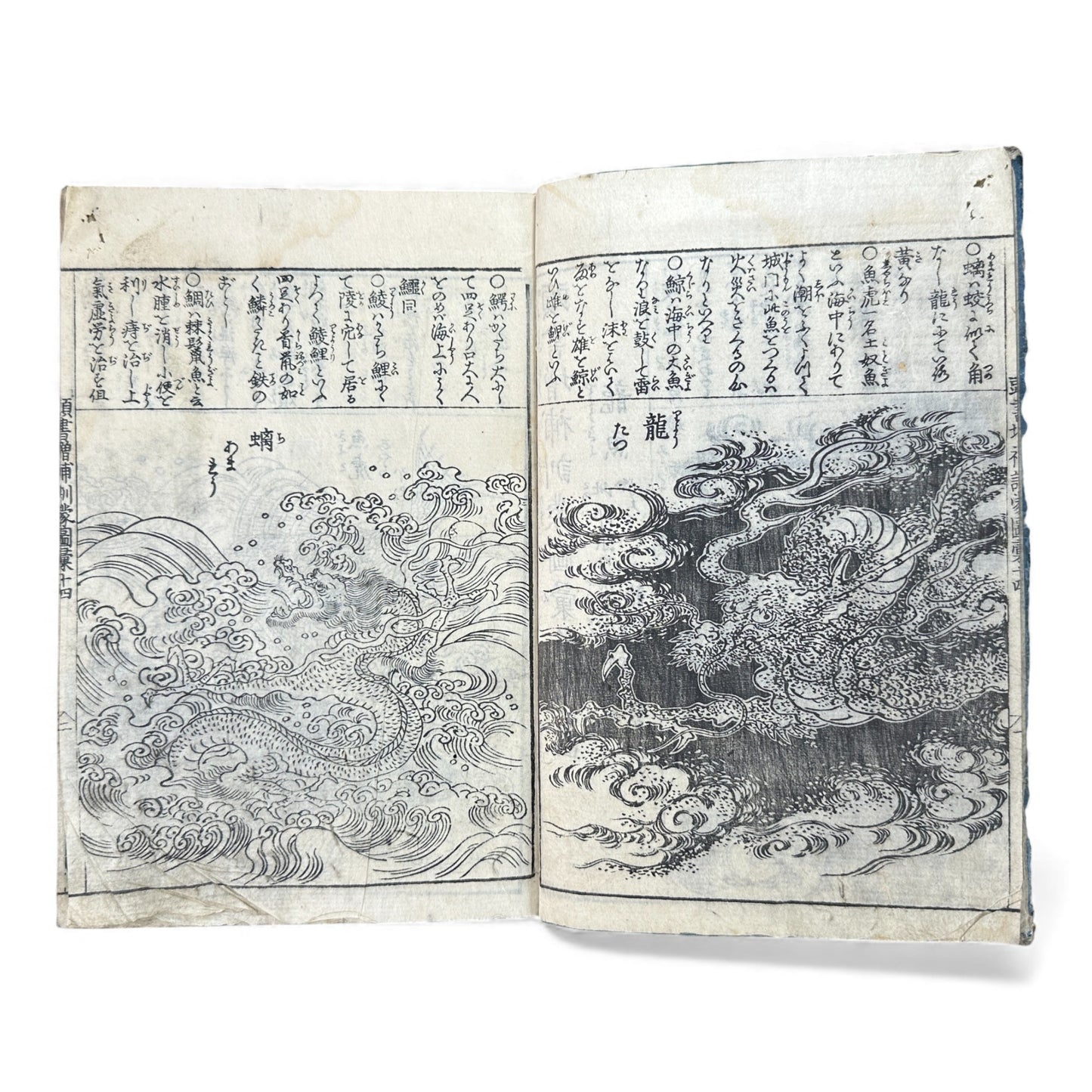 訓蒙図彙大成｜Edo Multi-Volume Illustrated Natural History Encyclopedia｜Rare Japanese Woodblock Book 和本 - B122