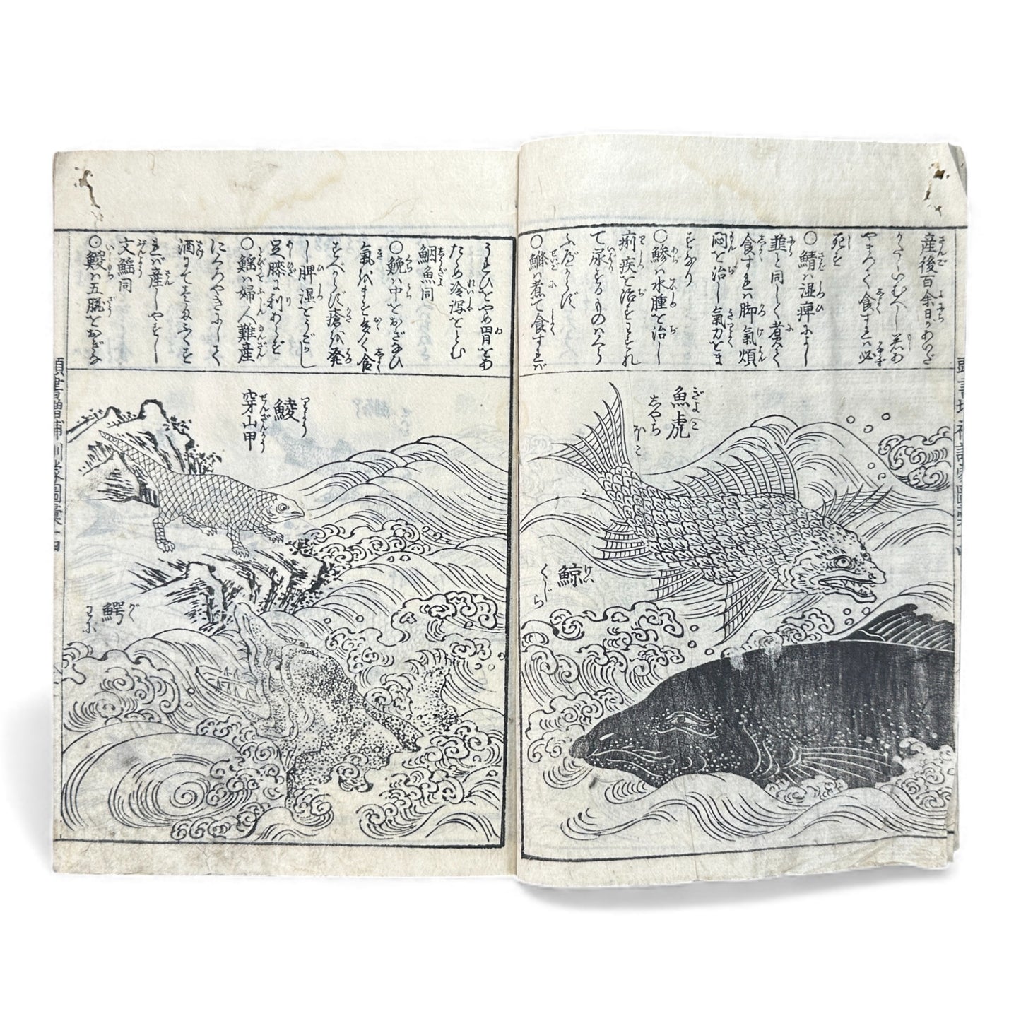 訓蒙図彙大成｜Edo Multi-Volume Illustrated Natural History Encyclopedia｜Rare Japanese Woodblock Book 和本 - B122