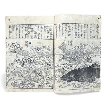 訓蒙図彙大成｜Edo Multi-Volume Illustrated Natural History Encyclopedia｜Rare Japanese Woodblock Book 和本 - B122