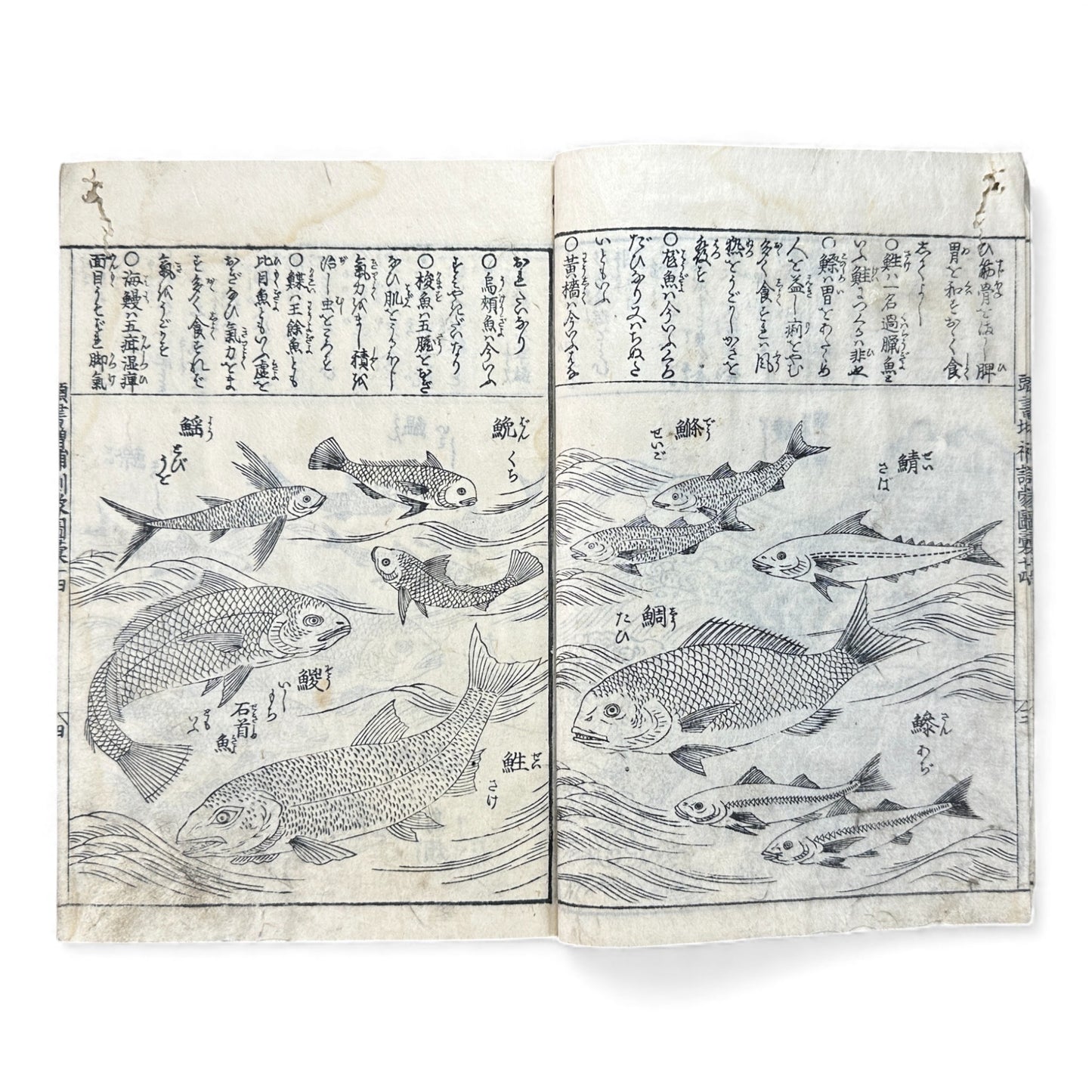 訓蒙図彙大成｜Edo Multi-Volume Illustrated Natural History Encyclopedia｜Rare Japanese Woodblock Book 和本 - B122