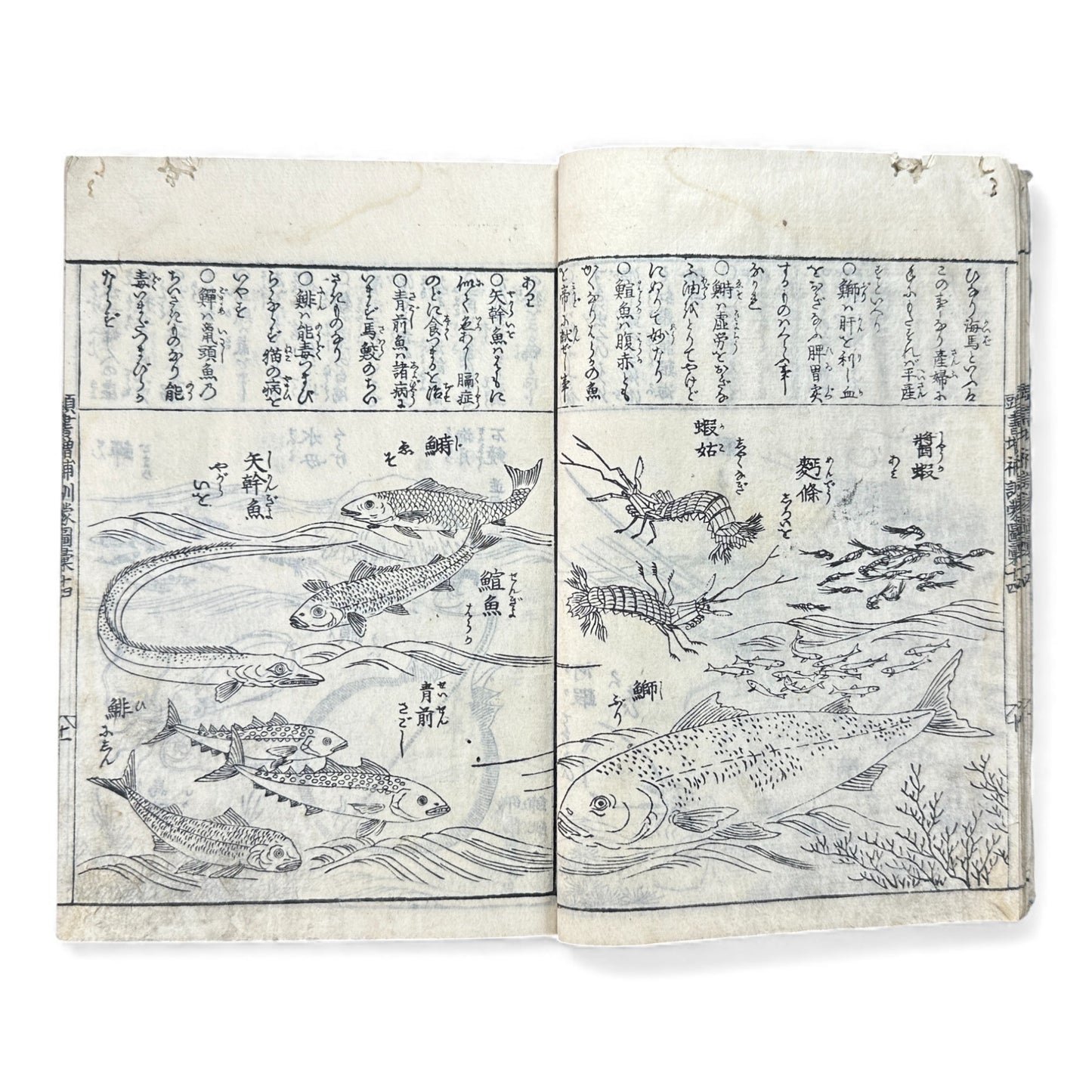 訓蒙図彙大成｜Edo Multi-Volume Illustrated Natural History Encyclopedia｜Rare Japanese Woodblock Book 和本 - B122