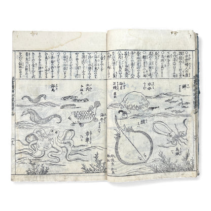 訓蒙図彙大成｜Edo Multi-Volume Illustrated Natural History Encyclopedia｜Rare Japanese Woodblock Book 和本 - B122