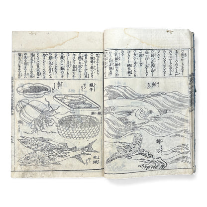 訓蒙図彙大成｜Edo Multi-Volume Illustrated Natural History Encyclopedia｜Rare Japanese Woodblock Book 和本 - B122