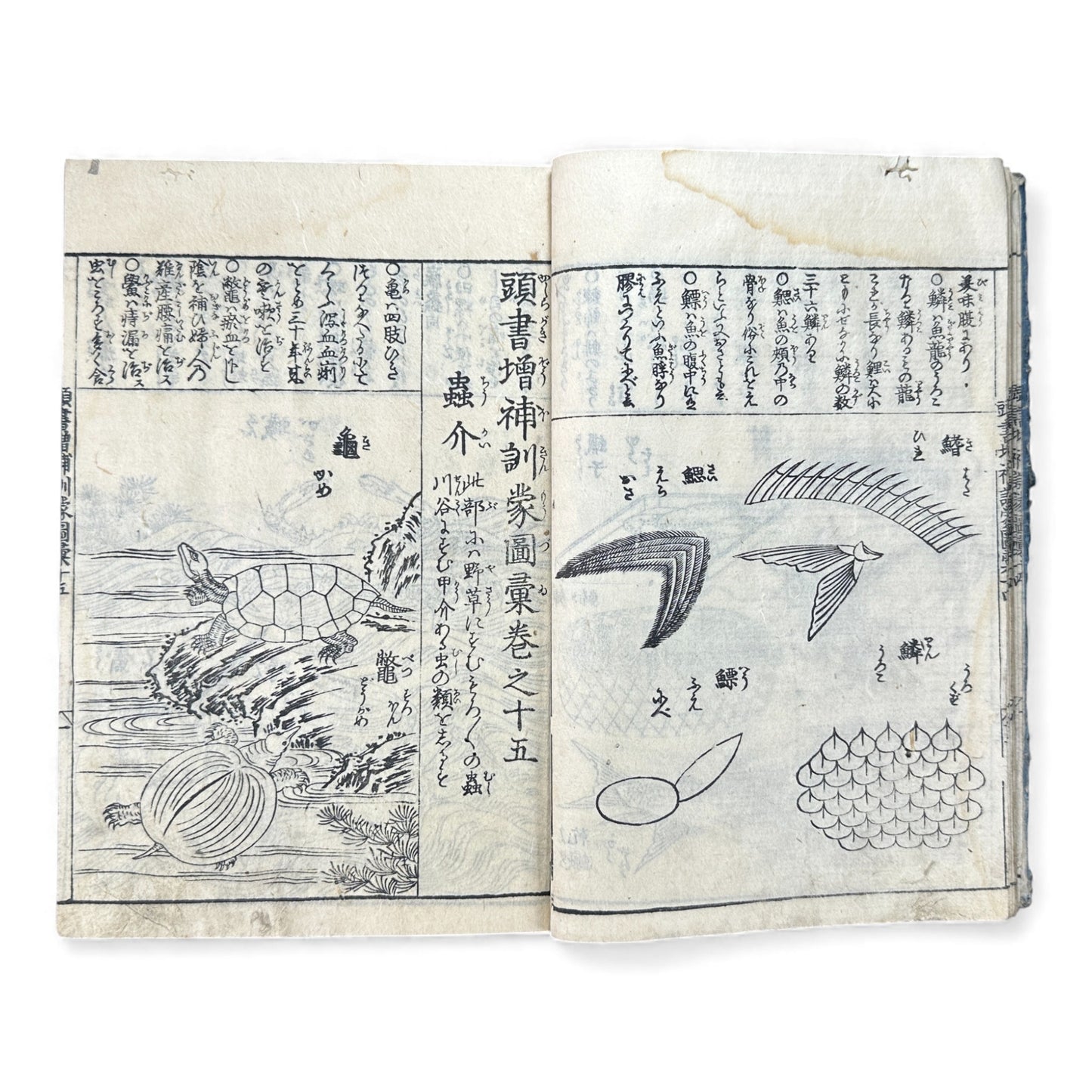訓蒙図彙大成｜Edo Multi-Volume Illustrated Natural History Encyclopedia｜Rare Japanese Woodblock Book 和本 - B122