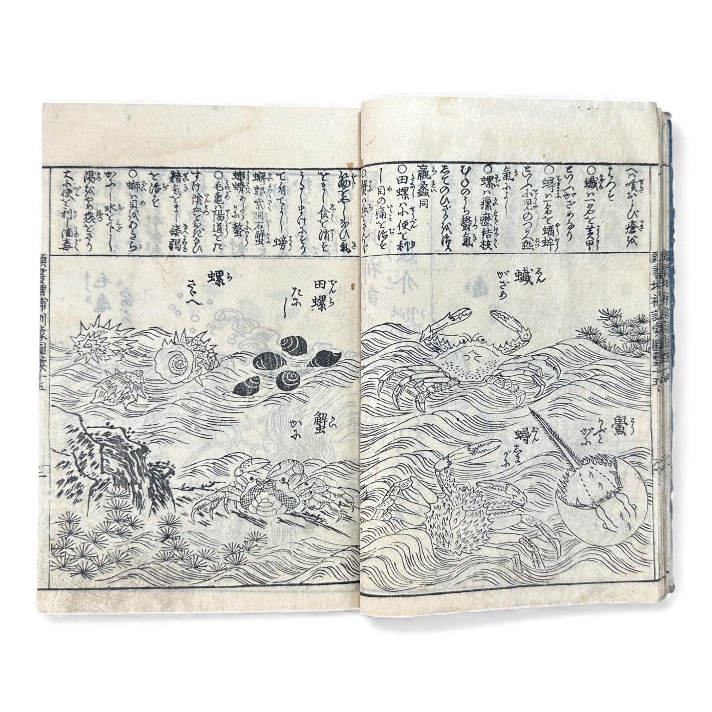 訓蒙図彙大成｜Edo Multi-Volume Illustrated Natural History Encyclopedia｜Rare Japanese Woodblock Book 和本 - B122