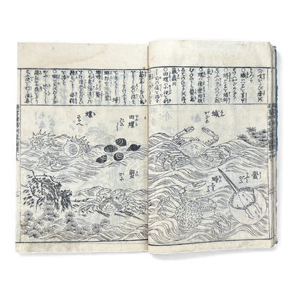 訓蒙図彙大成｜Edo Multi-Volume Illustrated Natural History Encyclopedia｜Rare Japanese Woodblock Book 和本 - B122