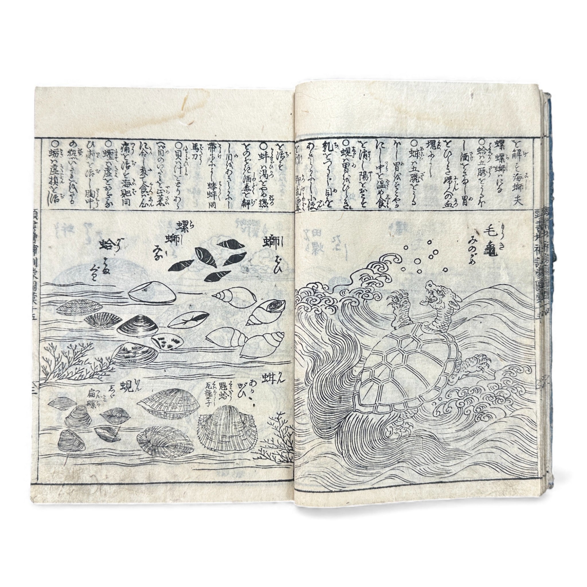 ANTIQUE JAPANESE BOOKS – GALLERY SEKAI | Japanese Antique and Pop Art