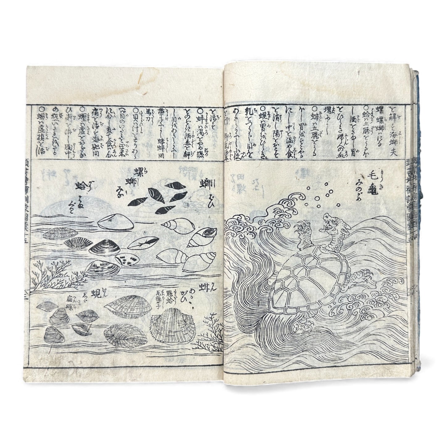 訓蒙図彙大成｜Edo Multi-Volume Illustrated Natural History Encyclopedia｜Rare Japanese Woodblock Book 和本 - B122