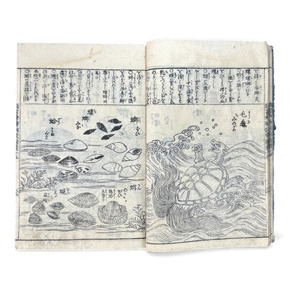 訓蒙図彙大成｜Edo Multi-Volume Illustrated Natural History Encyclopedia｜Rare Japanese Woodblock Book 和本 - B122