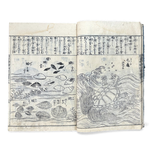 訓蒙図彙大成｜Edo Multi-Volume Illustrated Natural History Encyclopedia｜Rare Japanese Woodblock Book 和本 - B122