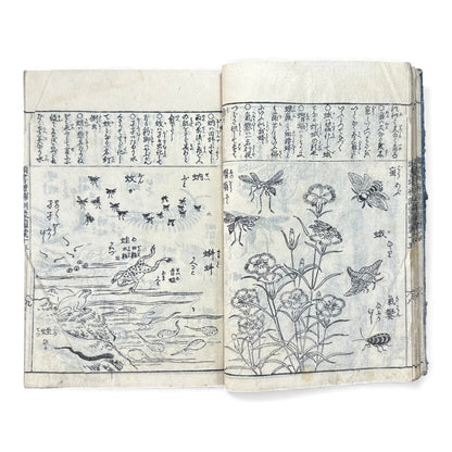 訓蒙図彙大成｜Edo Multi-Volume Illustrated Natural History Encyclopedia｜Rare Japanese Woodblock Book 和本 - B122