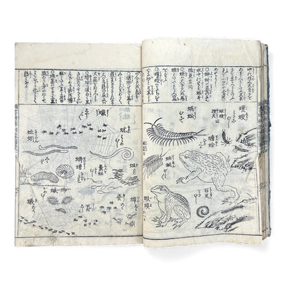 訓蒙図彙大成｜Edo Multi-Volume Illustrated Natural History Encyclopedia｜Rare Japanese Woodblock Book 和本 - B122