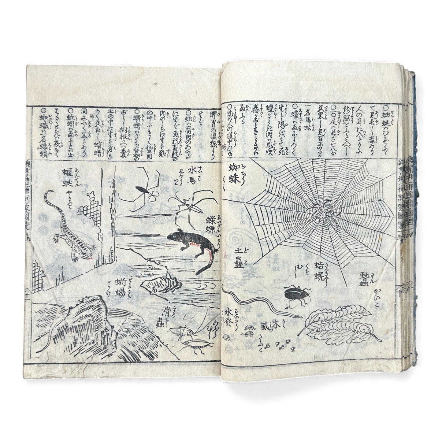 訓蒙図彙大成｜Edo Multi-Volume Illustrated Natural History Encyclopedia｜Rare Japanese Woodblock Book 和本 - B122