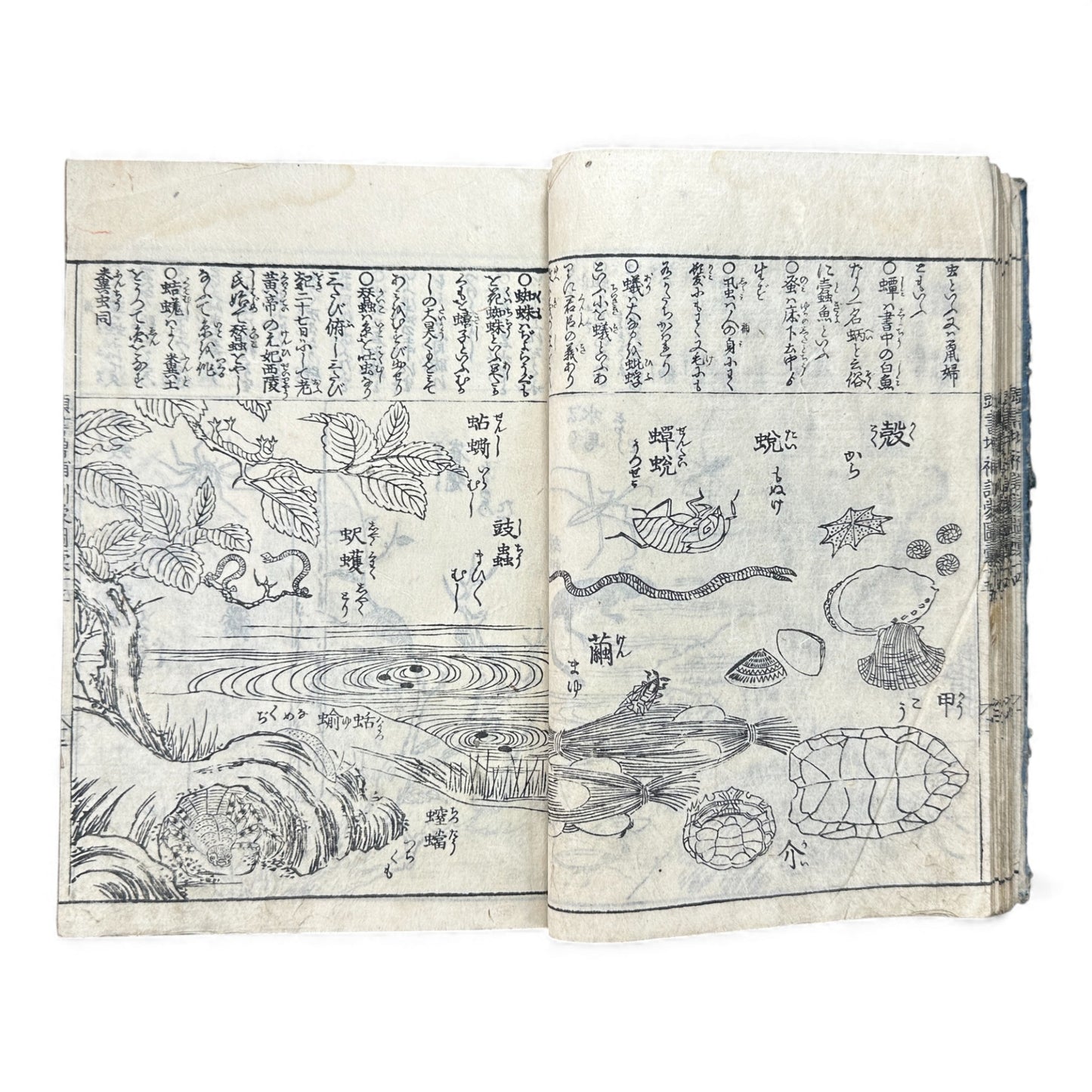 訓蒙図彙大成｜Edo Multi-Volume Illustrated Natural History Encyclopedia｜Rare Japanese Woodblock Book 和本 - B122
