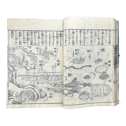 訓蒙図彙大成｜Edo Multi-Volume Illustrated Natural History Encyclopedia｜Rare Japanese Woodblock Book 和本 - B122