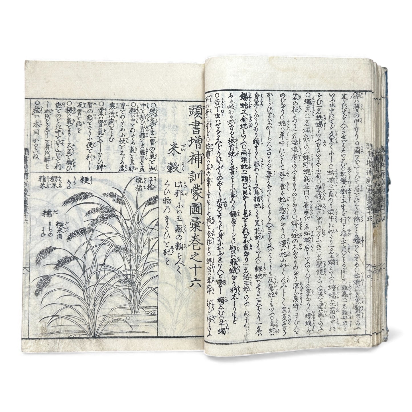 訓蒙図彙大成｜Edo Multi-Volume Illustrated Natural History Encyclopedia｜Rare Japanese Woodblock Book 和本 - B122