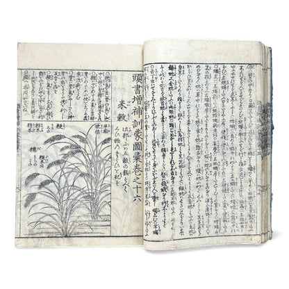 訓蒙図彙大成｜Edo Multi-Volume Illustrated Natural History Encyclopedia｜Rare Japanese Woodblock Book 和本 - B122