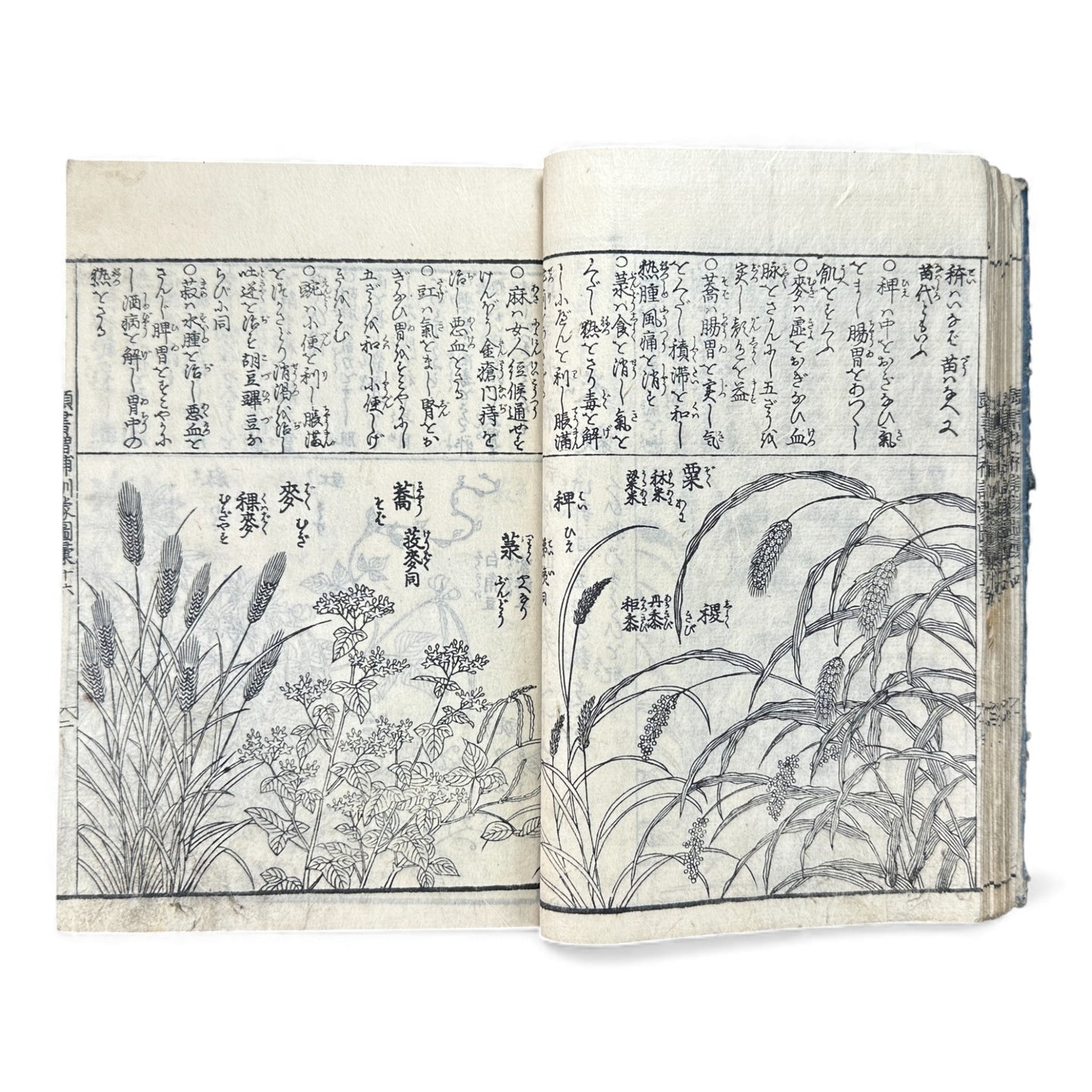 訓蒙図彙大成｜Edo Multi-Volume Illustrated Natural History Encyclopedia｜Rare Japanese Woodblock Book 和本 - B122