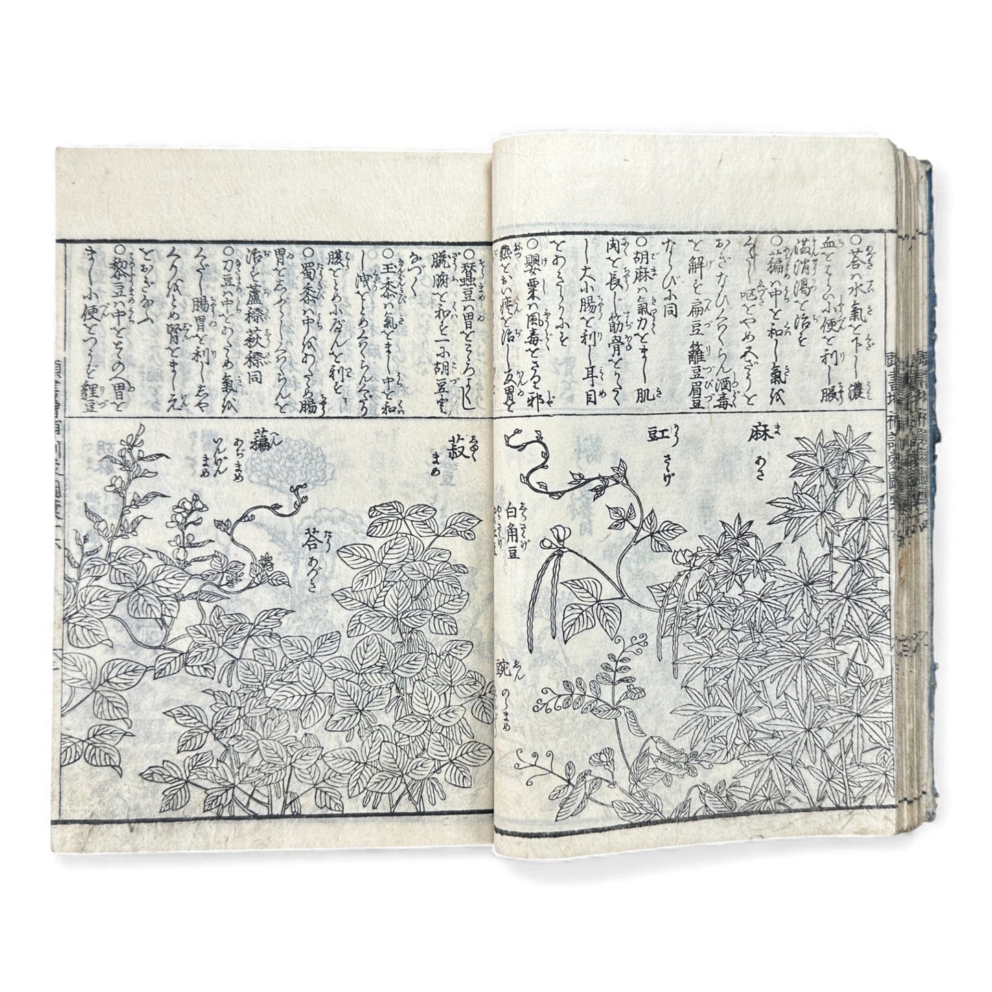 訓蒙図彙大成｜Edo Multi-Volume Illustrated Natural History Encyclopedia｜Rare Japanese Woodblock Book 和本 - B122