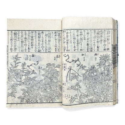 訓蒙図彙大成｜Edo Multi-Volume Illustrated Natural History Encyclopedia｜Rare Japanese Woodblock Book 和本 - B122