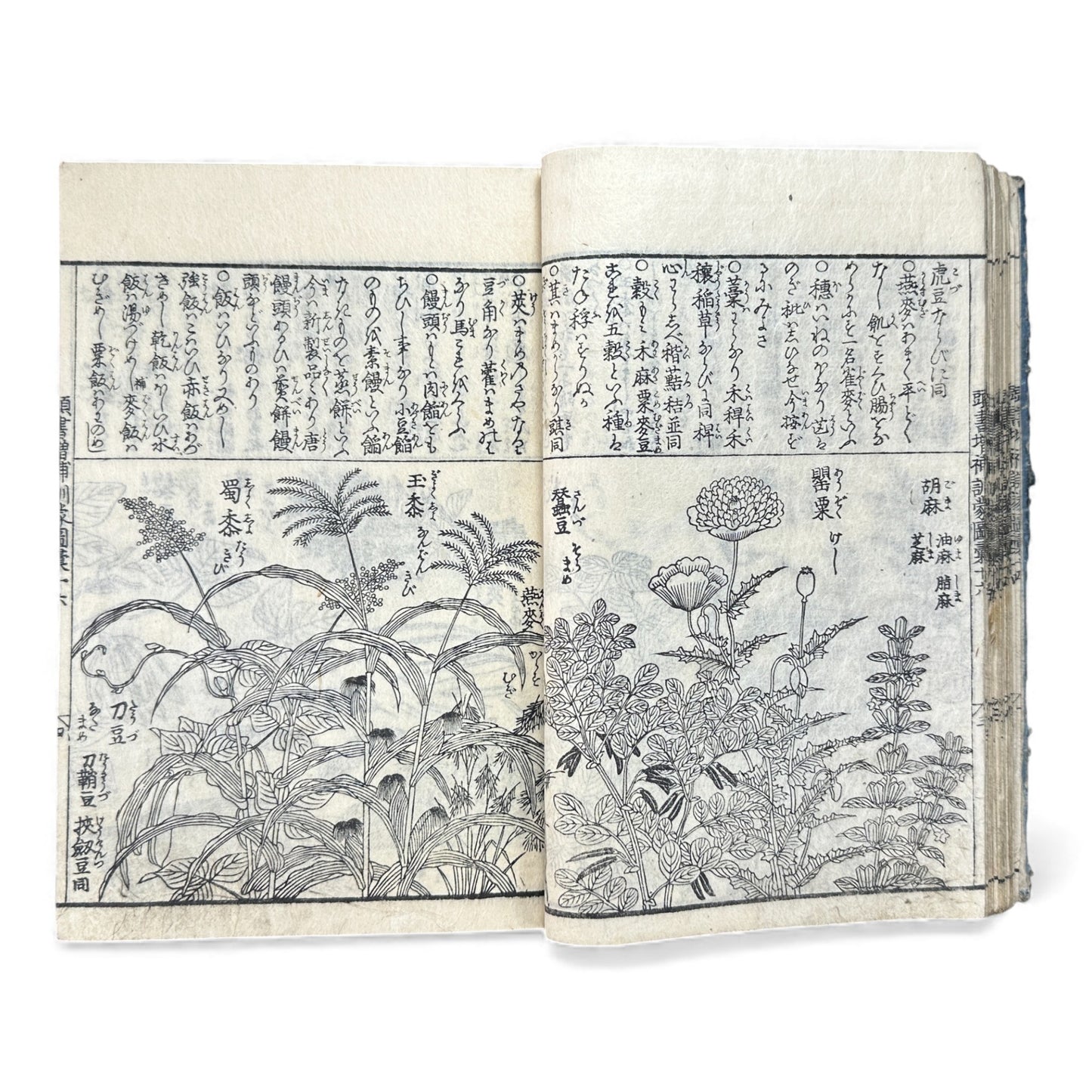 訓蒙図彙大成｜Edo Multi-Volume Illustrated Natural History Encyclopedia｜Rare Japanese Woodblock Book 和本 - B122
