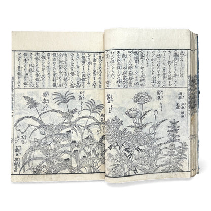 訓蒙図彙大成｜Edo Multi-Volume Illustrated Natural History Encyclopedia｜Rare Japanese Woodblock Book 和本 - B122