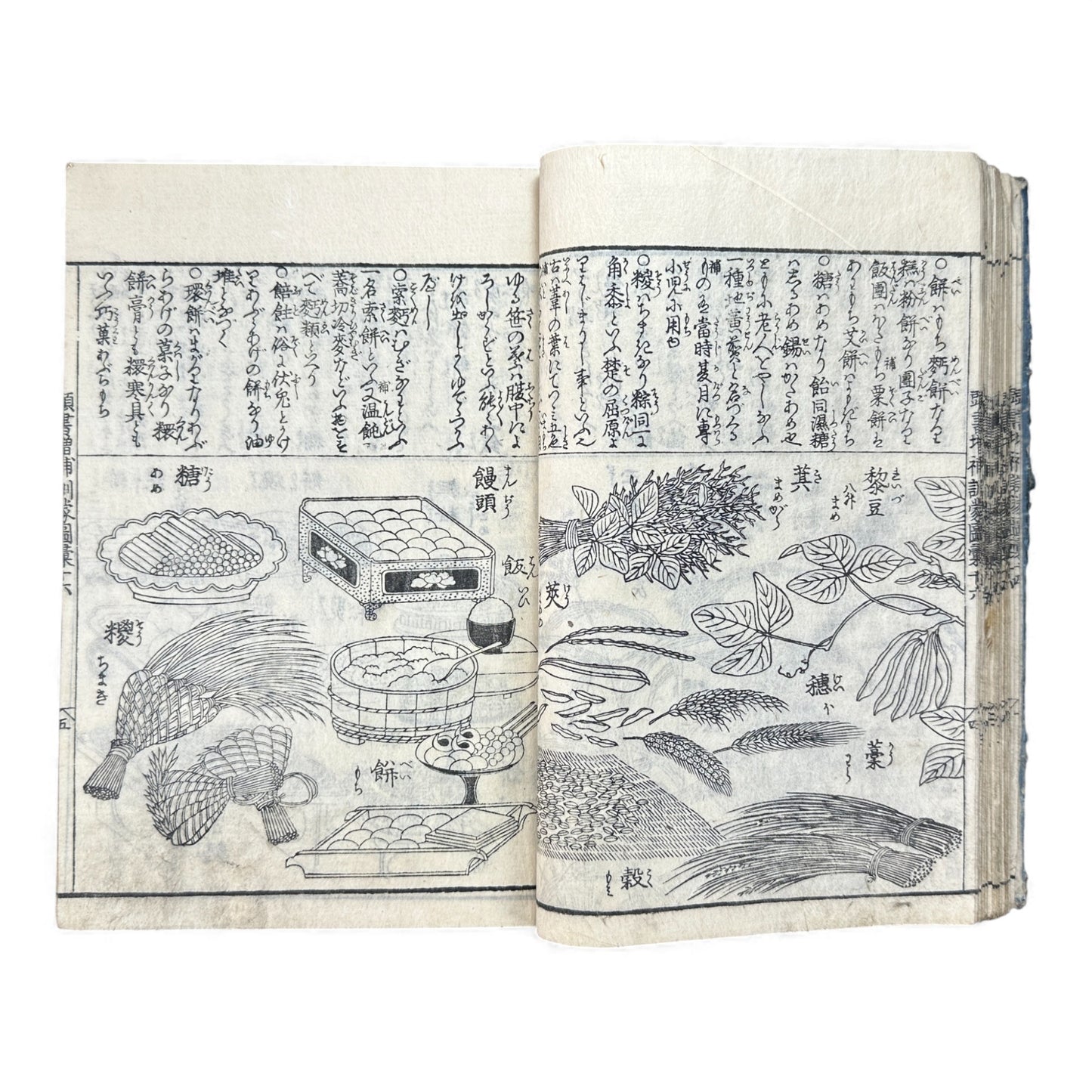 訓蒙図彙大成｜Edo Multi-Volume Illustrated Natural History Encyclopedia｜Rare Japanese Woodblock Book 和本 - B122